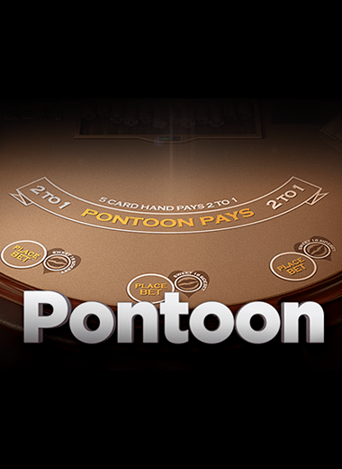 Jouez à la plus grande bibliothèque de jeux de table de casino en ligne - 21Bit casino